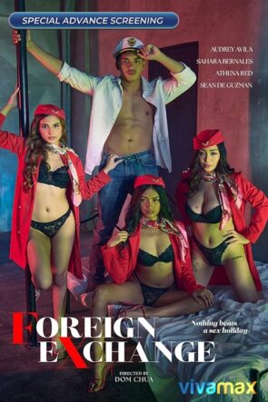Foreign Exchange (2025)