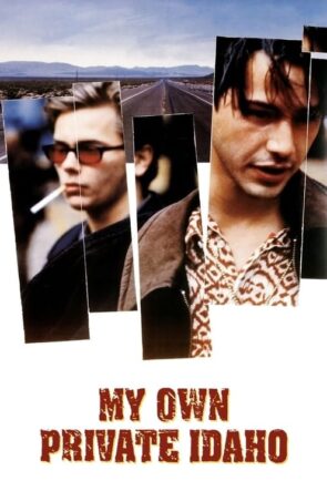 Benim Güzel Idaho’m (1991)