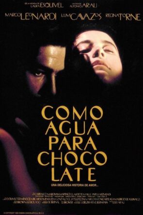 Acı Çikolata (1992)
